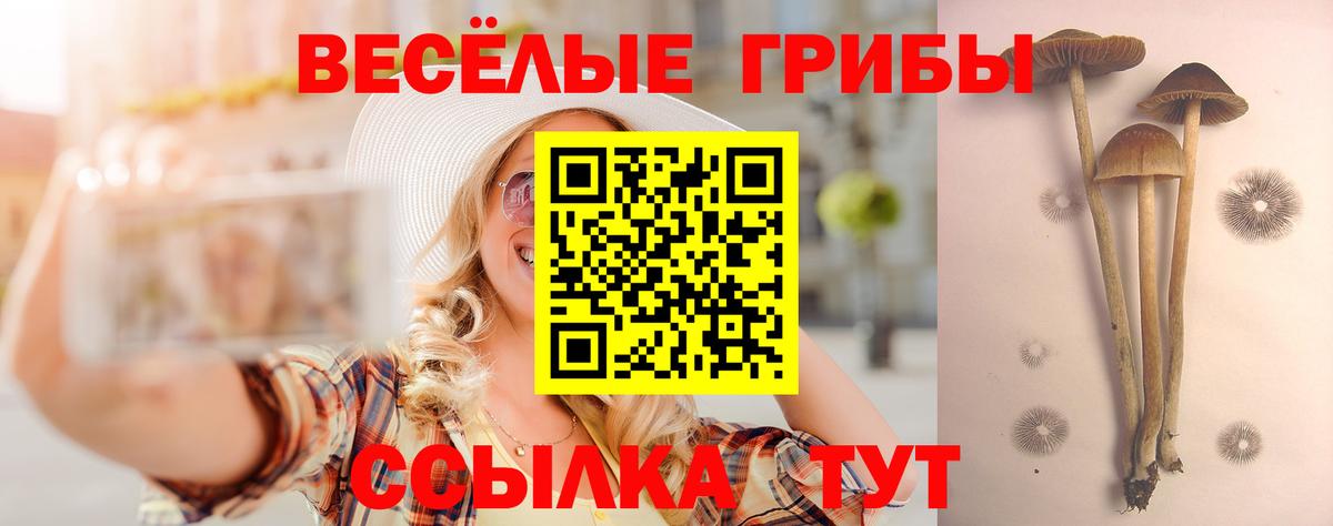 Псилоцибиновые грибы мицелий Геленджик